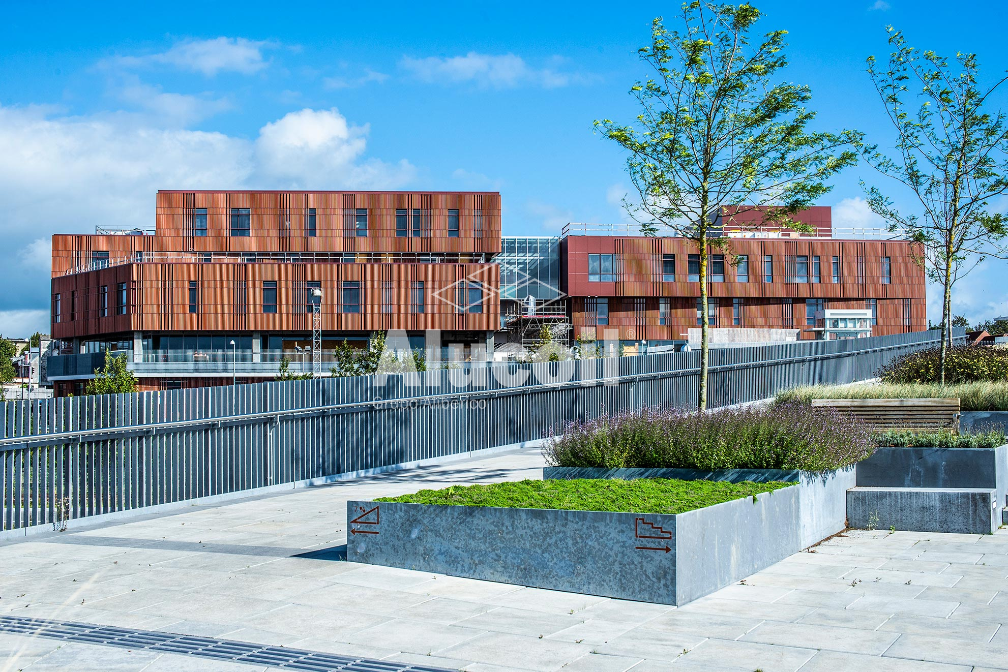 Midtbyens gymnasium Viborg