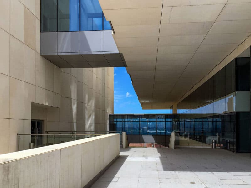 ARGELIA UNIVERSITY (5)
