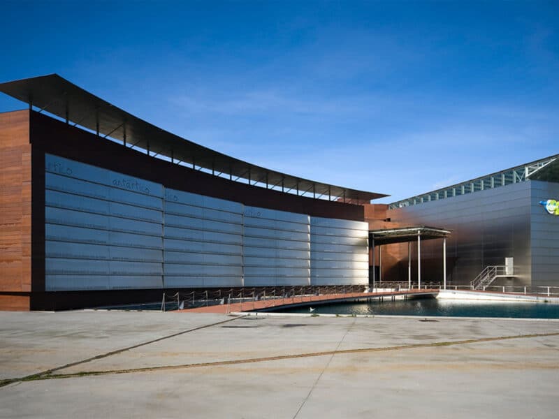 Acuario gijon (1)