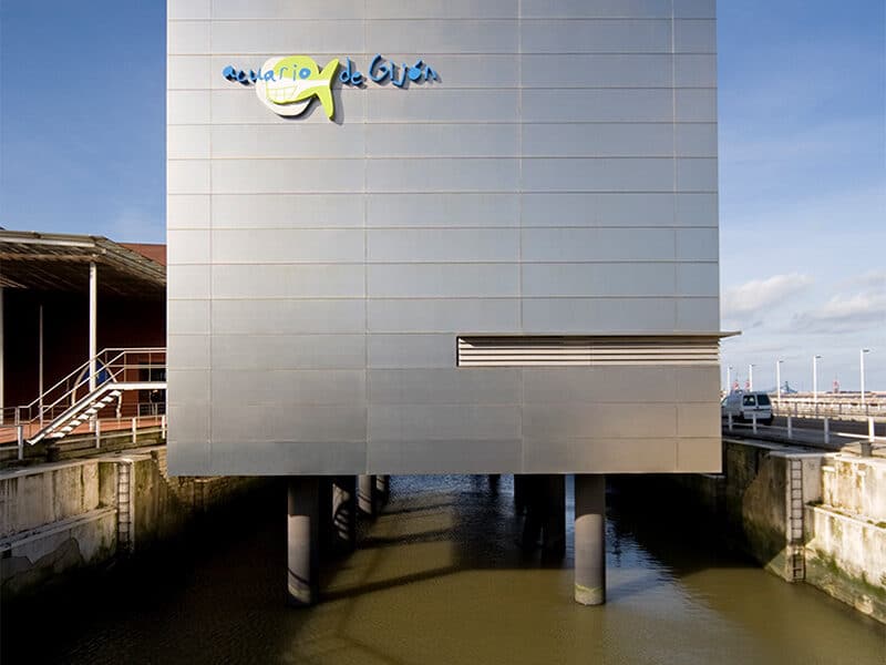 Acuario gijon (5)