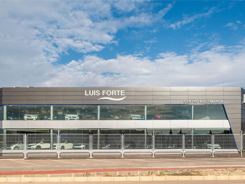 CONCESIONARIO LUIS FORTE (5)
