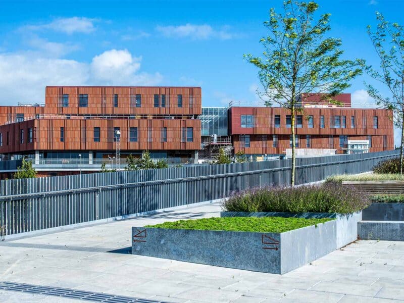 Midtbyens gymnasium (5)